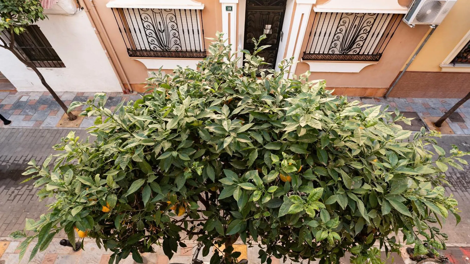 Town Apartment In Fuengirola Centre Spain